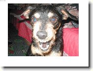 s úsměvem de včechno líp