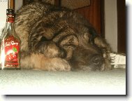 Třeskuté mrazy na Severní Moravě