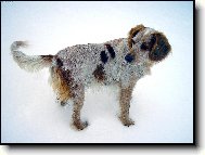 Tak honem, zase musím čekat.....