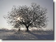 Suníčko už vykukuje