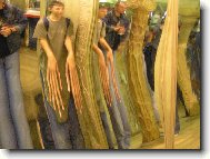 Dlouhé prsty mají prý jen zloději?