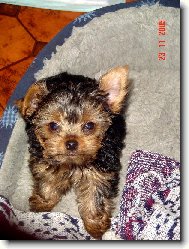 Vzpomínka na Matýska