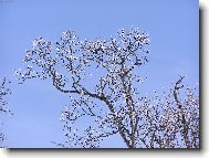 Krušné hory - Kovářská