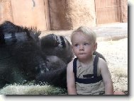 To nedopadne dobře.