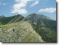 Hory u Starého Baru