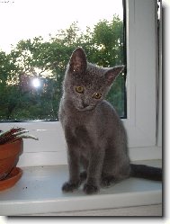 I kocour se může zahledět..:)