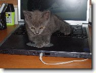 JO to je lepší pelíšek!