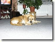 Už mě ta televize nebaví