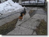 Naše Aginka agentem :D