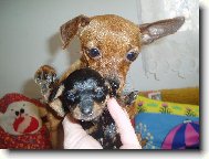 Dejte si na mě bacha!!