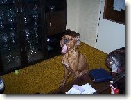 Všechny vás sním!!!