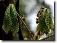 Už, už už to bude...