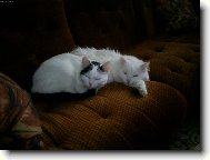 Takhle spolu spinkáme