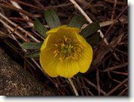 Konečně je tady jaro