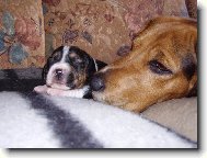 TO CHCE KLÍDEK LIDI