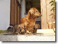 JARO-ČAS MLÁĎÁTEK