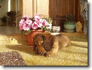 JARO-ČAS MLÁĎÁTEK