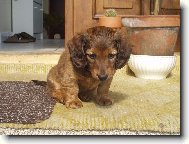 JARO-ČAS MLÁĎÁTEK