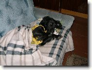 Roztomilý kukuč Ketynky