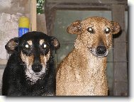 Dášenka a Filípek