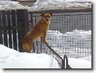 s nadhledem jde všechno líp