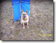 Besi se ,,žvýkačkou,,