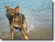 příště už mi ale neunikne