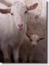 Naše modelky Máňa a Julinka