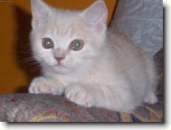 Pozor vyletí ptáček