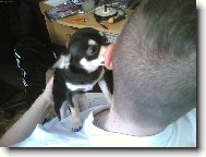 Zas je čištění na mě-to je život ach jo!