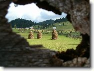 První civilizace ;)