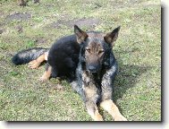 Já se na to mlíčko stejně dostanu!!!