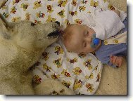 Moc se nevrť, nebo ti toho kohouta nalížu nakřivo.