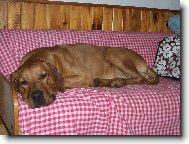 všude dobře, doma nejlépe!!!