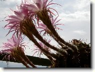 Ještě jednou z jidné strany