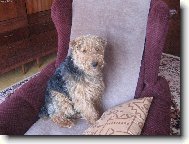 tady jsme pánem já!