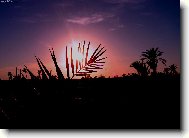 Západ slunce na poušti