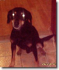 Rád si hraji na UFO :)