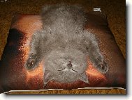 Po bitvě je každý utahaný!!!