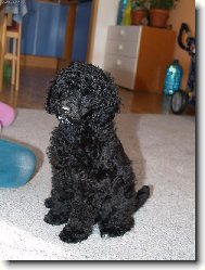 podle mne už jsem velká holka co říkáte??