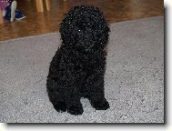 pozor vyletí ptáček...!!!