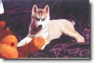 naše malé boubelaté