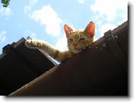 Zdraví vás Jonášek!