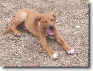 áááááhhh,to bylo silné zívnutí!!!