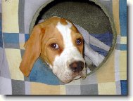 Já už budu hodný ......