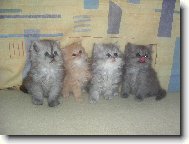 Ještě jednou sourozenci :-)