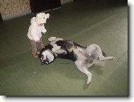 Poslouchat se musí,i prcky