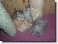 Úsměv prosííím :-)