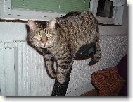 nedosáhnu na šlapadla!!!