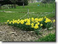 U nás na chalupě!!!